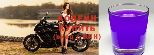 шишки Богородск