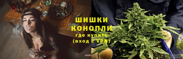 PSILOCYBIN Сосновоборск