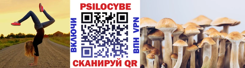 Галлюциногенные грибы Psilocybine cubensis  Купить где  Арск 